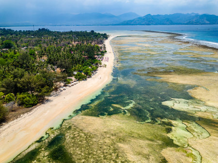 Aerial view of a huge coral reef table forming a fringing reef around a tropical islandの写真素材