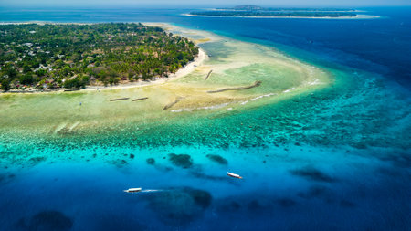 Aerial view of traditional outrigger boats with snorkelers and swimmers over a tropical coral reef in a clear, warm oceanの写真素材