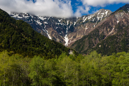 Lush forest and trees in front of imposing, snow-capped mountain peaks under a blue skyの写真素材