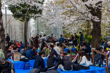 TOKYO, JAPAN - APRIL 06 2024: Huge crowds of people celebrating Cherry Blossom blooming (Hanami) in Tokyo's Ueno Park. The bloom was 2 weeks later than 2023 due to the cold weatherのeditorial素材