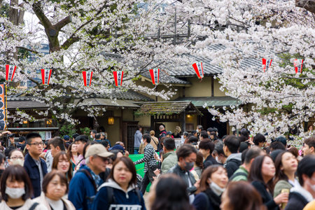 TOKYO, JAPAN - APRIL 06 2024: Huge crowds of people celebrating Cherry Blossom blooming (Hanami) in Tokyo's Ueno Park. The bloom was 2 weeks later than 2023 due to the cold weatherのeditorial素材