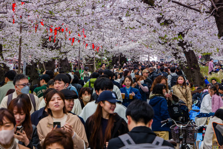 TOKYO, JAPAN - APRIL 06 2024: Huge crowds of people celebrating Cherry Blossom blooming (Hanami) in Tokyo's Ueno Park. The bloom was 2 weeks later than 2023 due to the cold weatherのeditorial素材