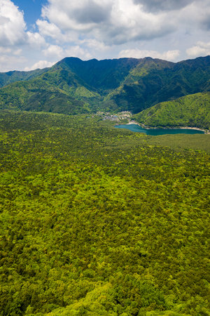 Aerial view of the Sea of Trees aokigahara forest in the Fuji area of Japan