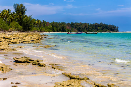Rock and sand tropical beach surrounded by palm trees and shallow ocean (Thailand)の写真素材