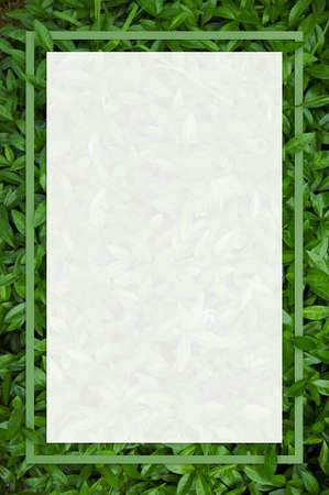 Creative layout composition frame of juicy green leaves with beautiful texture with paper card note,...