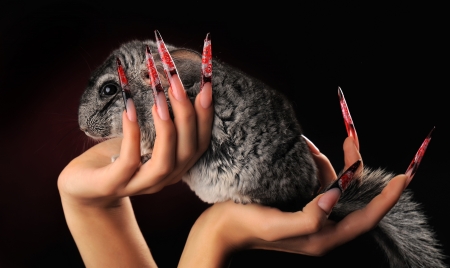 manicures beautiful pattern on nailsの写真素材