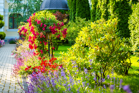 beautiful landscaping with beautiful plants and flowersの写真素材