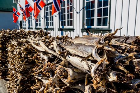 Stockfish, dried by cold air and wind, at the fishing harbor Norway