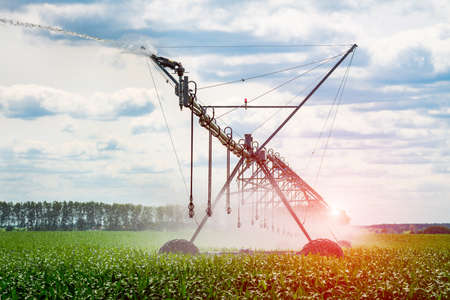 An irrigation pivot watering a field, beautiful viewの写真素材
