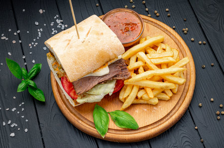 Smoked beef panini sandwich, served with salad and french fries. Photo for the restaurant menuの写真素材