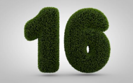Green grass number 16 isolated on white background. 3D rendered grass digits for eco banner, poster, cover, logo design template element.の写真素材