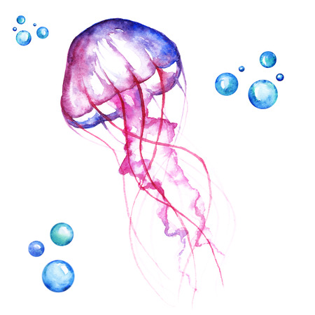 Blue and Pink Jellyfish Handdrawing Watercolor Illustration a High Resolutionの写真素材