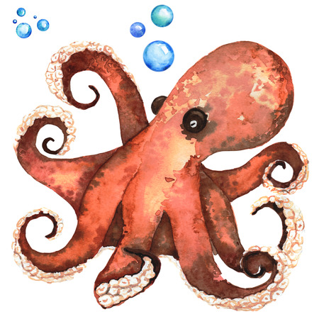 Big Brown Octopus Handdrawing Watercolor Illustration a High Resolutionの写真素材