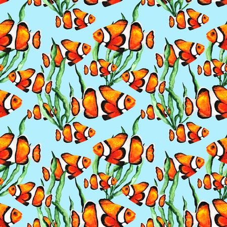 Watercolor Bright Paterrn with Clownfish and Seaweedの写真素材