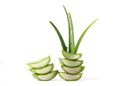 Aloe vera on a white background. Natural care products.の写真素材