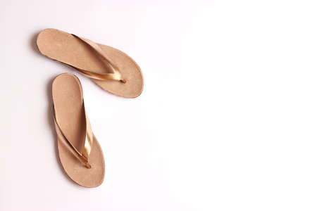 female slippers on a colored background top view. minimalism, womens shoes.