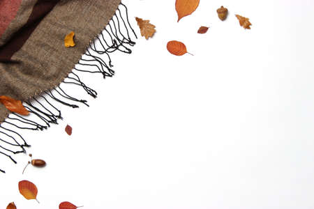 autumn composition, autumn leaves
