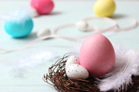 Easter composition of painted eggs and feathers on a colored background.の写真素材
