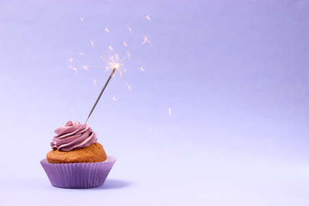 Delicious cupcake with a candle on a colored background with space for text.の写真素材