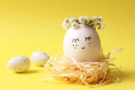 Easter composition of painted eggs and feathers on a colored background.