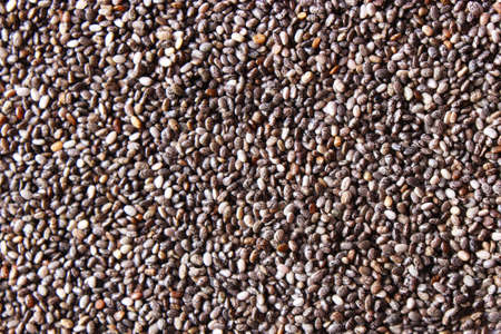 chia seeds on a white background close-up. Food supplement, superfoodの写真素材