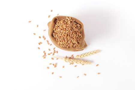 wheat and spikelets on a white background