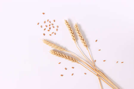 wheat and spikelets on a white background
