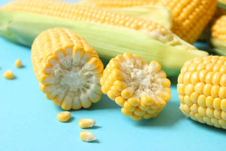 Fresh corn close-up on the table.
