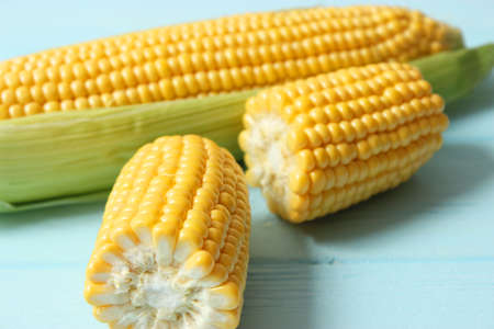 Fresh corn close-up on the table.