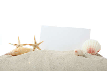 sand, shells and starfish isolated on white. place for text, travel, sea.の写真素材