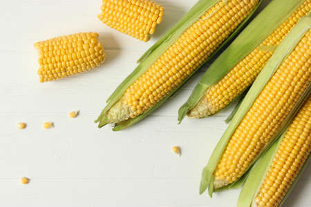 Fresh corn close-up on the table.