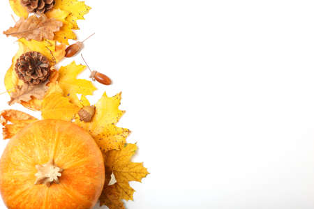 pumpkins close-up. Thanksgiving background. Autumn background.の写真素材