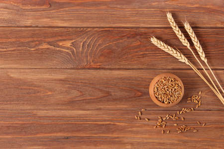 spikelets of wheat on a colored background top view.の写真素材