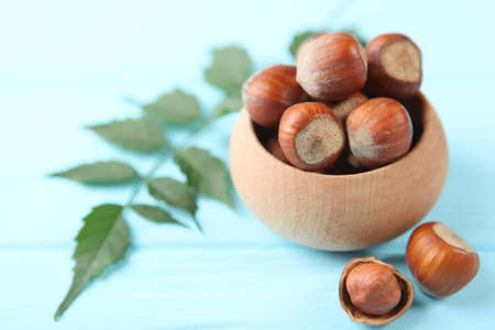 hazelnuts close-up on the table. Minimalism, place for textの写真素材