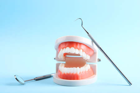 model of teeth and dental instruments and dental care products