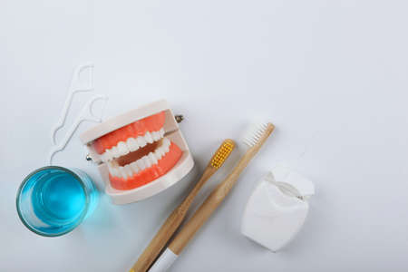 Dental model of teeth and dental care products on colored backgroundの写真素材