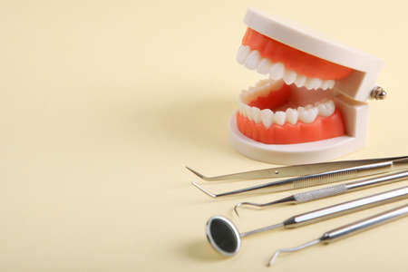 model of teeth and dental instruments and dental care productsの写真素材