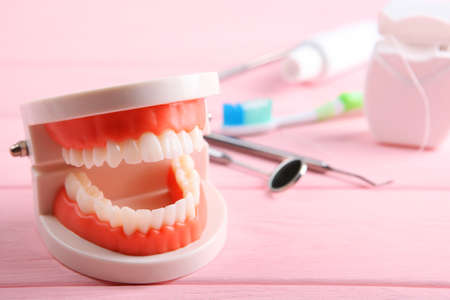 model of teeth and dental instruments and dental care productsの写真素材