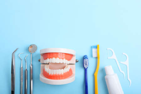 model of teeth and dental instruments and dental care products