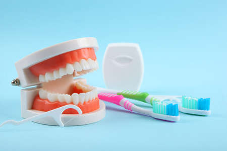 Dental model of teeth and dental care products on colored background