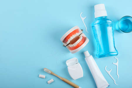 Dental model of teeth and dental care products on colored backgroundの写真素材