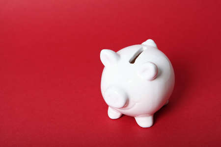 piggy piggy bank on a colored background. The concept of saving money.の写真素材