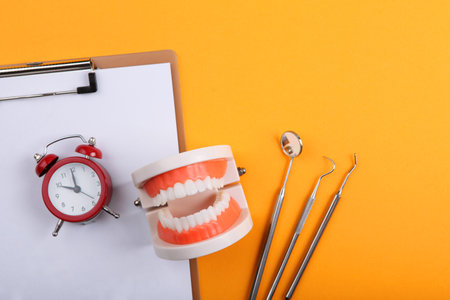 model of teeth and dental instruments and dental care productsの写真素材