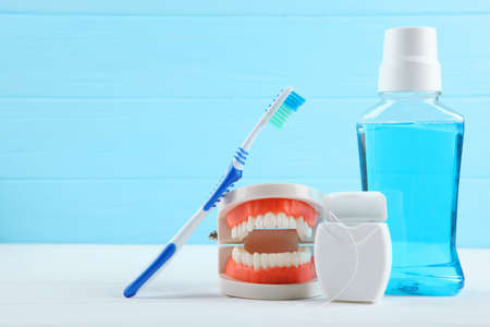 Dental model of teeth and dental care products on colored backgroundの写真素材