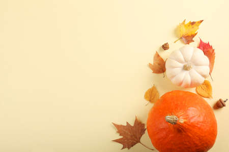 pumpkins on a colored background. Thanksgiving background. Autumn background.