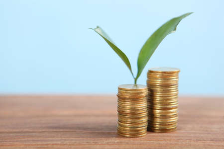 Piles of gold coins and a fresh sprout. cash income growth concept.