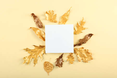 Beautiful stylish autumn background with golden leaves top viewの写真素材