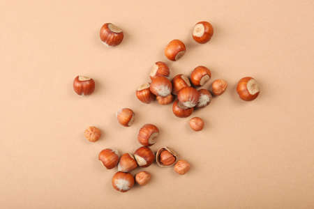 hazelnuts close-up on the table. Minimalism, place for textの写真素材