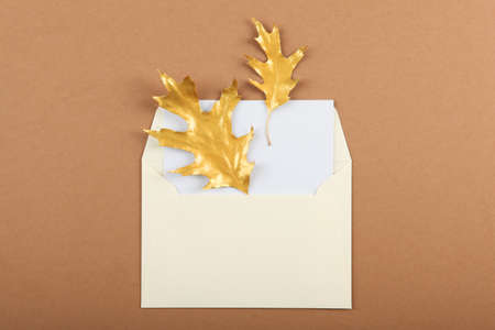 Beautiful stylish autumn background with golden leaves top viewの写真素材
