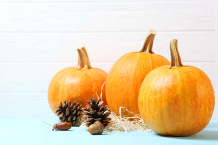 pumpkins close-up. Thanksgiving background. Autumn background.